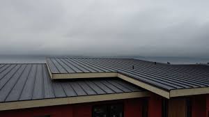 Best Solar Panel Roofing Installation  in Horseshoe Bay, TX